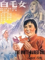 玉米起腻虫是什么原因